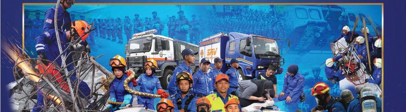 Angkatan Pertahanan Awam Malaysia
